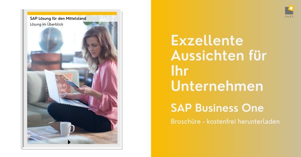SAP Business One Lösungsüberblick Display Bild (4)