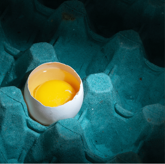 Egg