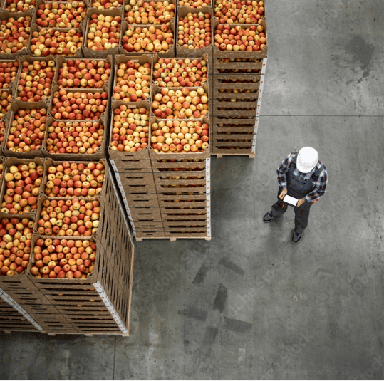 containers-with-apples